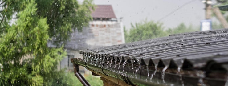 Stop Water Damage Before It Starts: Essential Gutter Cleaning Tips