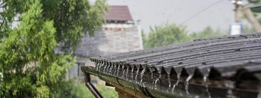 Stop Water Damage Before It Starts: Essential Gutter Cleaning Tips
